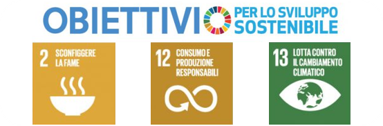 Agenda ONU 2030